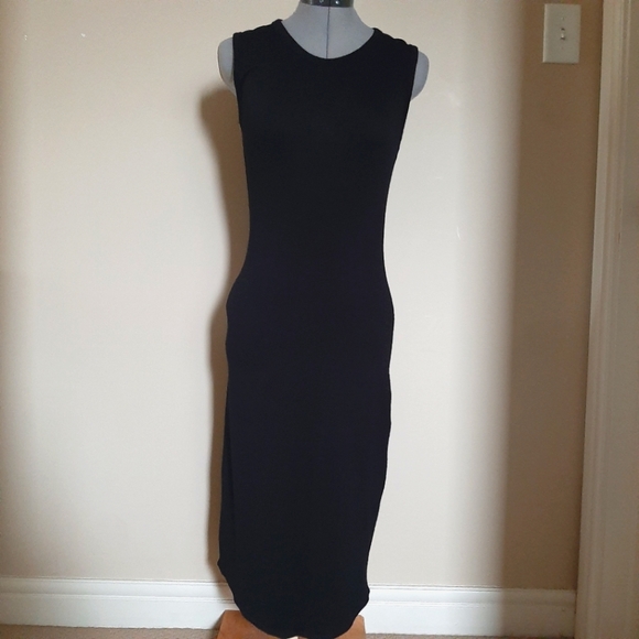 Aritzia Dresses & Skirts - Wilfred Free Bruni Dress